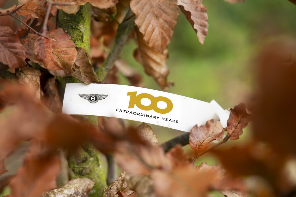 Bentley 100 TREES FOR 100 YEARS